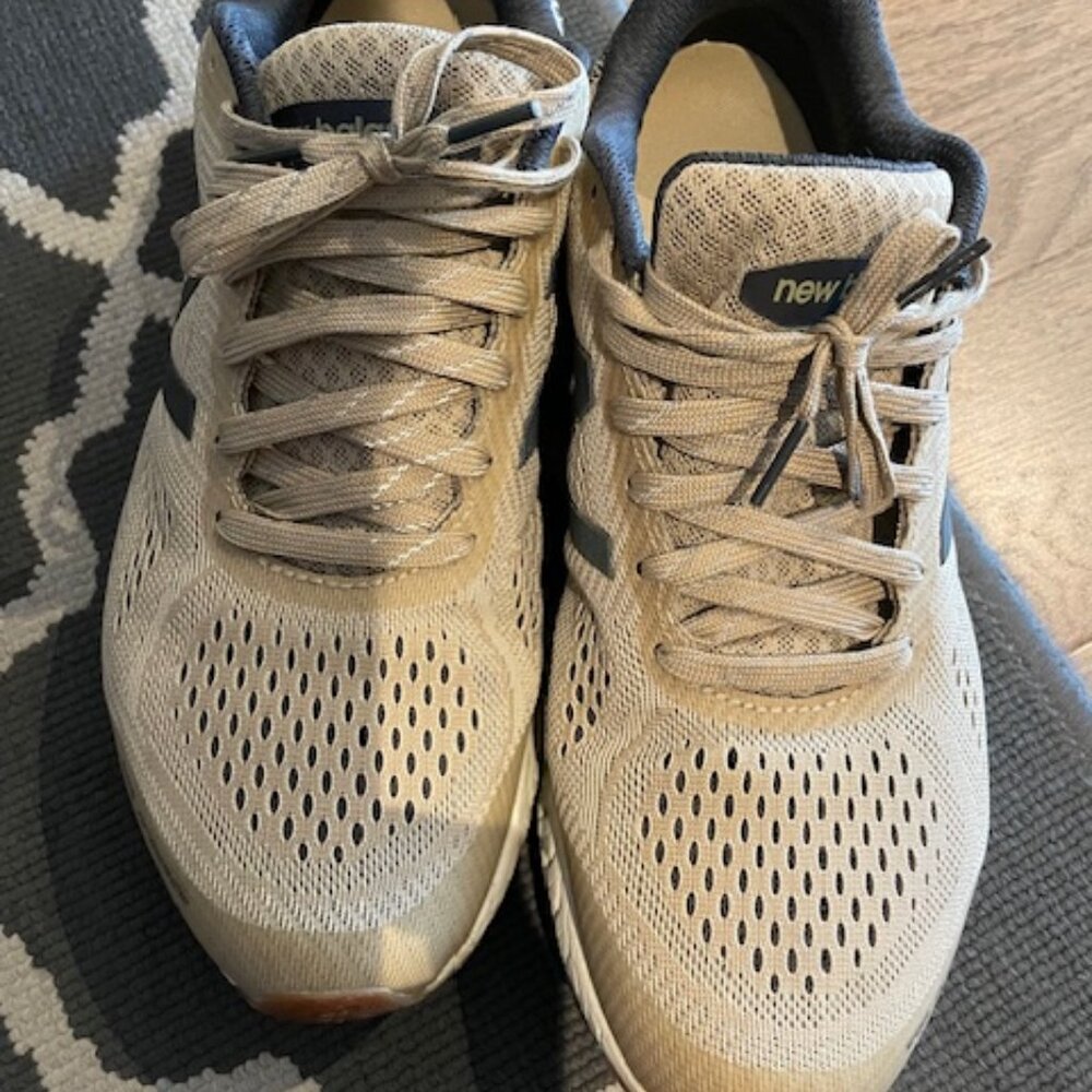 New Balance Fresh Foam Gobi V2